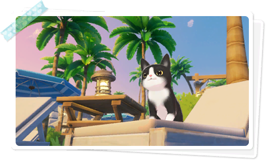 文件:Map cat animal 03.png