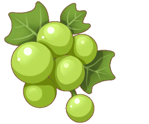 Item.Crop.GreenGrape.png