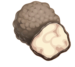 Item.Animal Product.Truffle.png