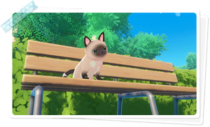 Map cat animal 01.png