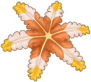 Item.Beach FeatherStarfish.png